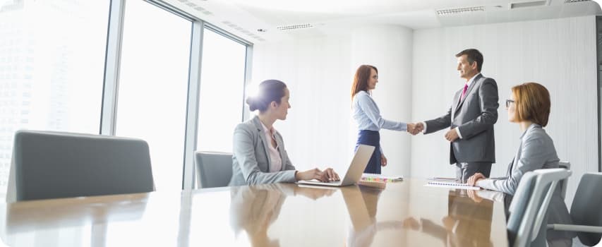 Establishment of a holding company